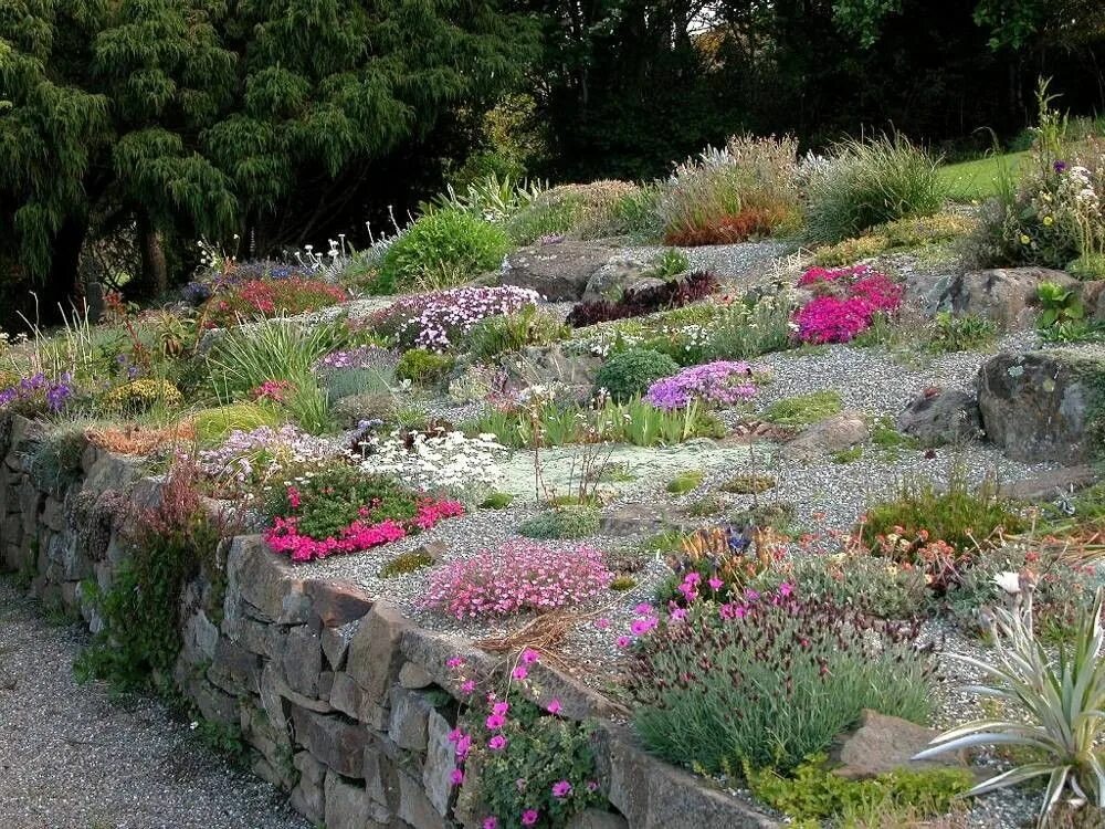 Клумба на склоне фото Pin on Idée jardin Rock garden plants, Rock garden, Alpine garden