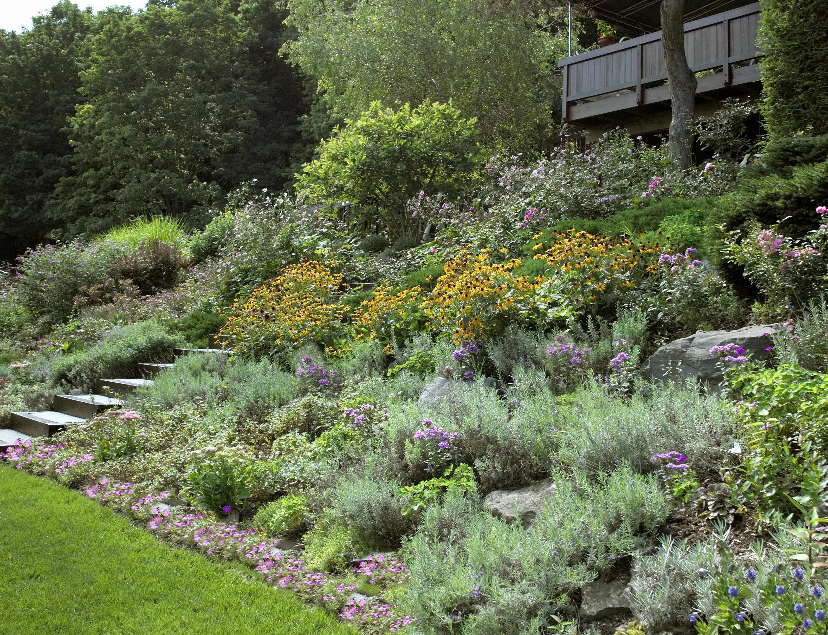 Клумба на склоне фото Hillside Landscape Hillside landscaping, Sloped garden, Landscaping a slope