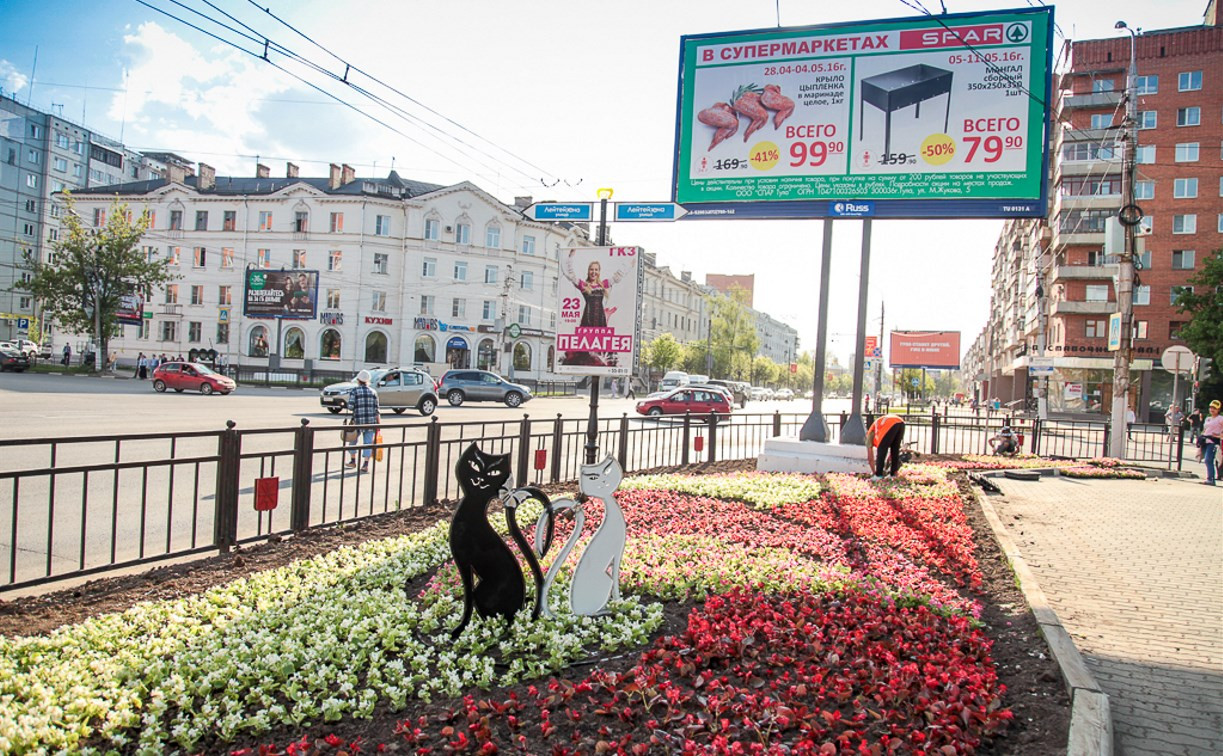 Клумба просп ленина 85 корп 1 фото На Красноармейском проспекте появились "Кошки" - Новости Тулы и области - MySlo.