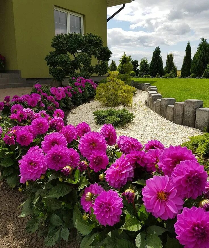 Клумба с георгинами фото Instagram post by Ania Walczak * Jul 18, 2017 at 3:25pm UTC Driveway landscaping