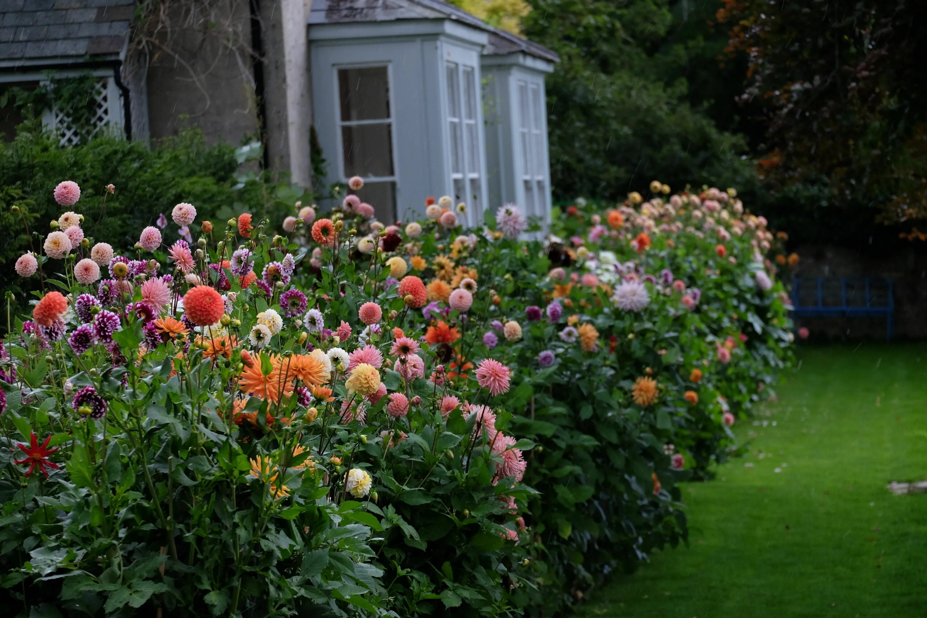 Клумба с георгинами фото These Young U.K. Gardening Stars Are Redefining the Pastime Tuinplanning, Bloem 