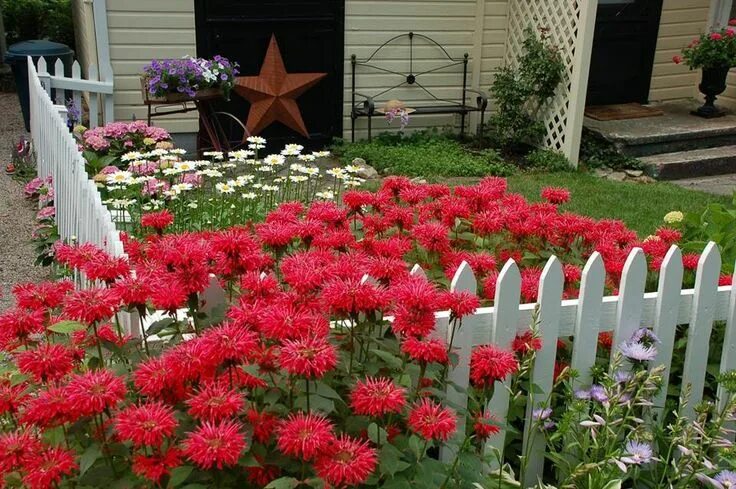 Клумба с георгинами фото Pin by maryangelescurbelo on ✻ JARDIN - ESPACIO ENCANTADOR ✻ Small flower garden