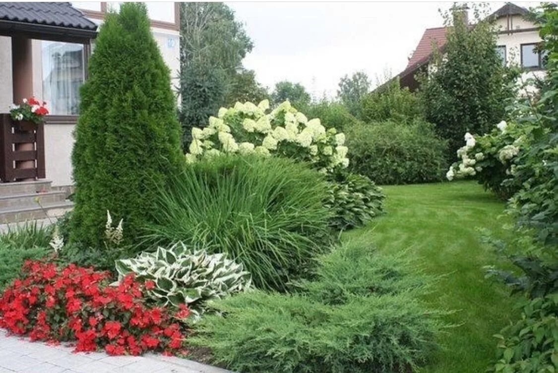 Клумба с хвойниками фото Pin on Ландшафтный дизайн Garden planning, Privacy landscaping, Garden design pl