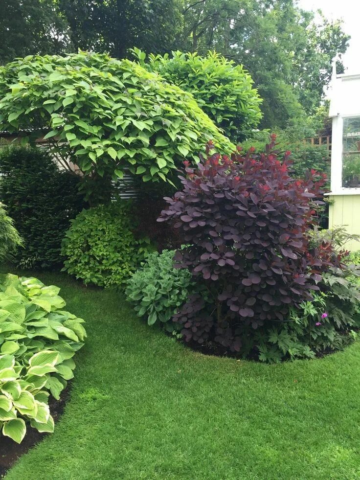 Клумба с пузыреплодником фото АРХИТЕКТУРА ЛАНДШАФТНЫЙ ДИЗАЙН ВКонтакте Backyard garden design, Easy garden, Ou