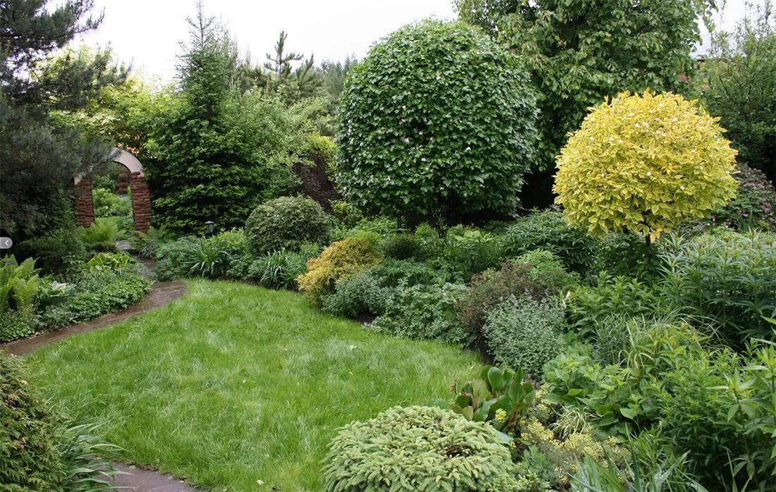 Клумба с пузыреплодником фото Штамбы разные важны Jardines