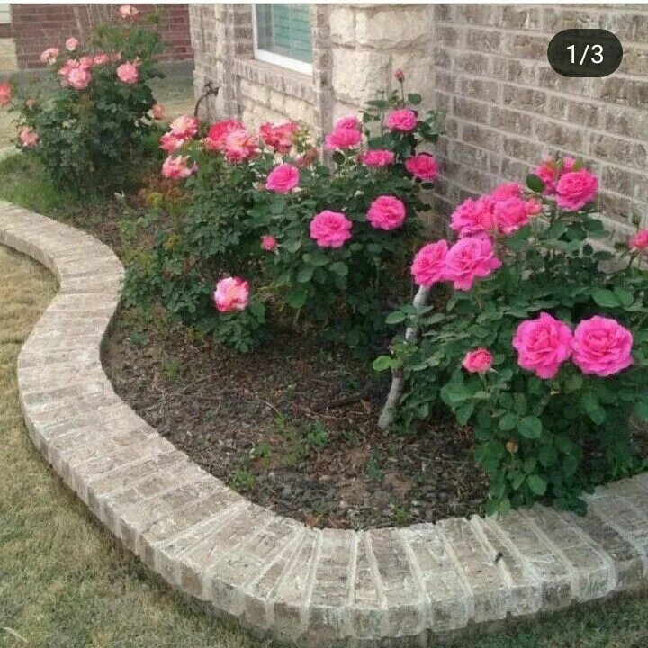 Клумба с розами оформление в частном доме Pin on Сад Rose garden design, Shade landscaping, Front yard landscaping