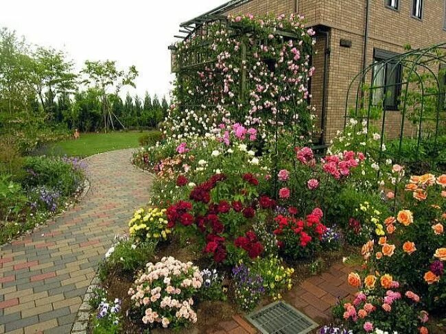 Клумба с розами оформление в частном доме 11 beautiful Rose Garden Designs for small yard you need to see Rose garden desi