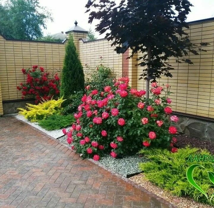 Клумба с розами оформление в частном доме Pin by vika on Двор Backyard flowers garden, Fence landscaping, Landscaping alon