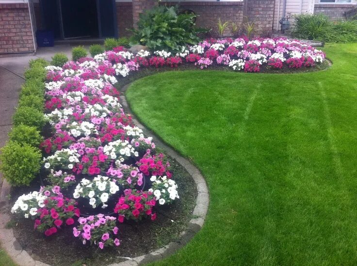 Клумба с цветами фото Pin on Annuals Front yard garden design, Front garden design, Front garden lands