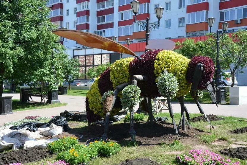 Клумба ул доватора 156 фото В Уфе на Телецентре знаменитую пчелу-клумбу засадили цветами