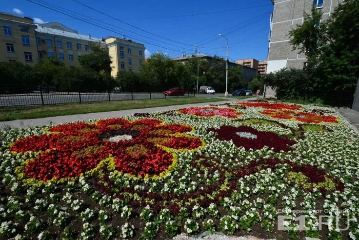 Клумба ул доватора 156 фото Ekaterinburg city, Russia City, Russia, Sidewalk