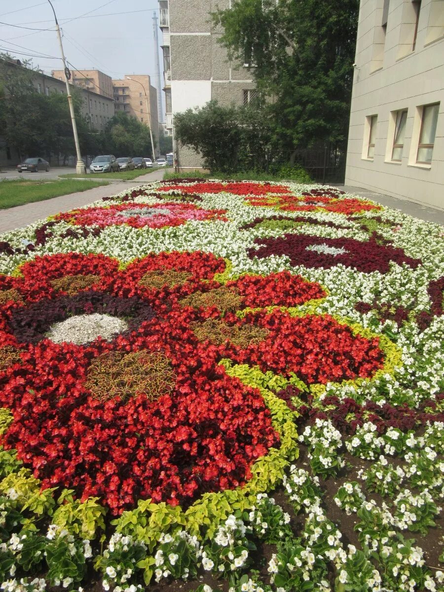 Клумба ул доватора 156 фото В Ленинском районе подведены итоги конкурса "На лучшее цветочное оформление терр