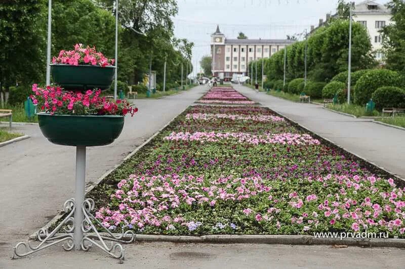 Клумба ул доватора 156 фото С центральных клумб в Первоуральске пропадают цветы - Городской округ Первоураль