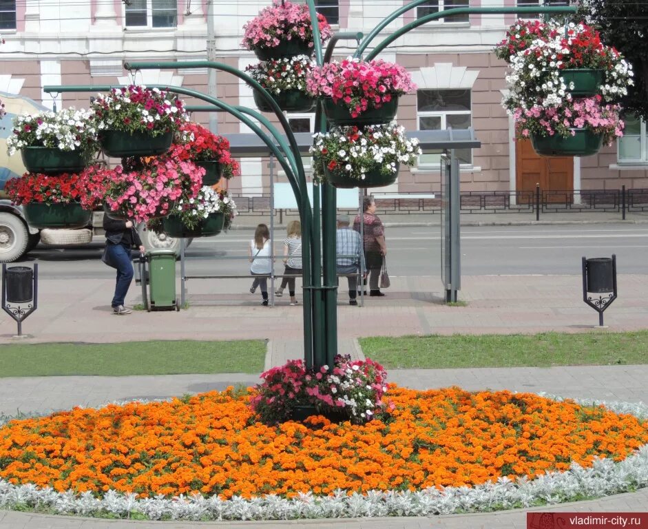 Клумба ул фрунзе 58 33 фото Этим летом Владимир украсят розами