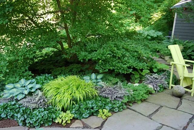 Клумба в тени фото Pin by Linda James on Grow Shade plants, Shade garden design, Shade garden