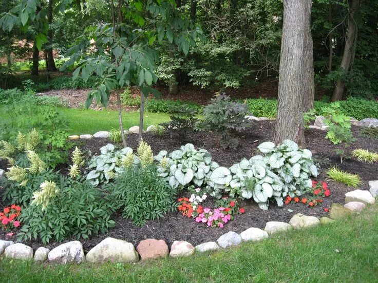 Клумба в тени фото Expert Landscaping Design Tips Landscaping with rocks, Shade landscaping, Front 