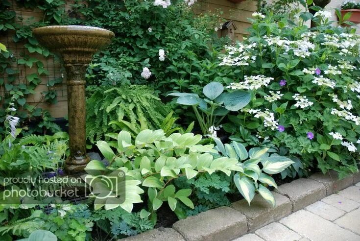 Клумба в тени фото Garden Forum: My shady corner in June Garden forum, Perennial garden design, Sha