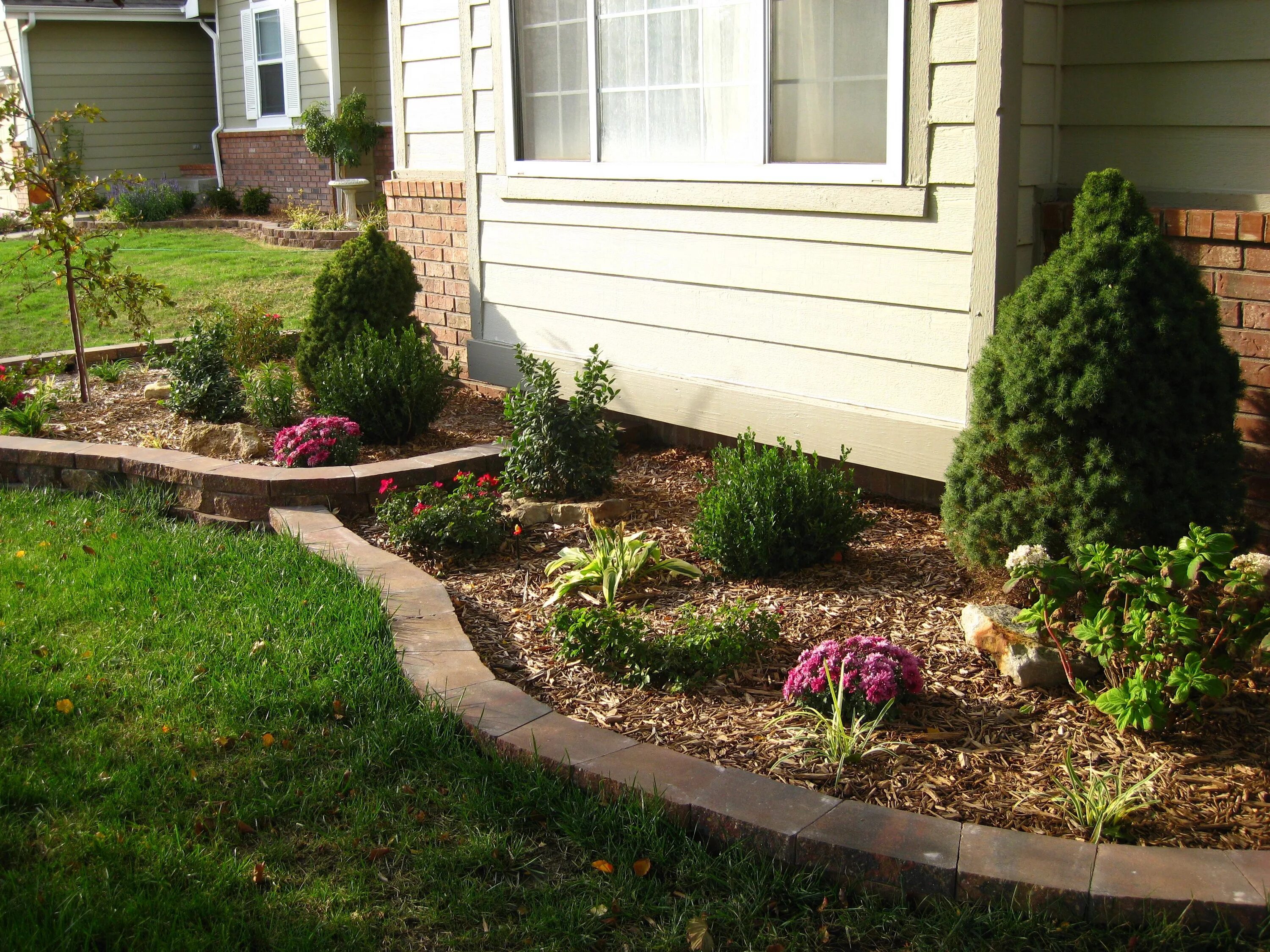 Клумба вдоль дома фото Perennial flower bed (1st year). Cottage garden, Garden stones, Flower beds