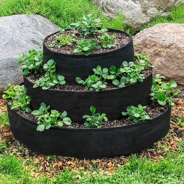 Клумбы для клубники фото 40 DIY Strawberry Planter Ideas for Container Planting Strawberry plants, Strawb