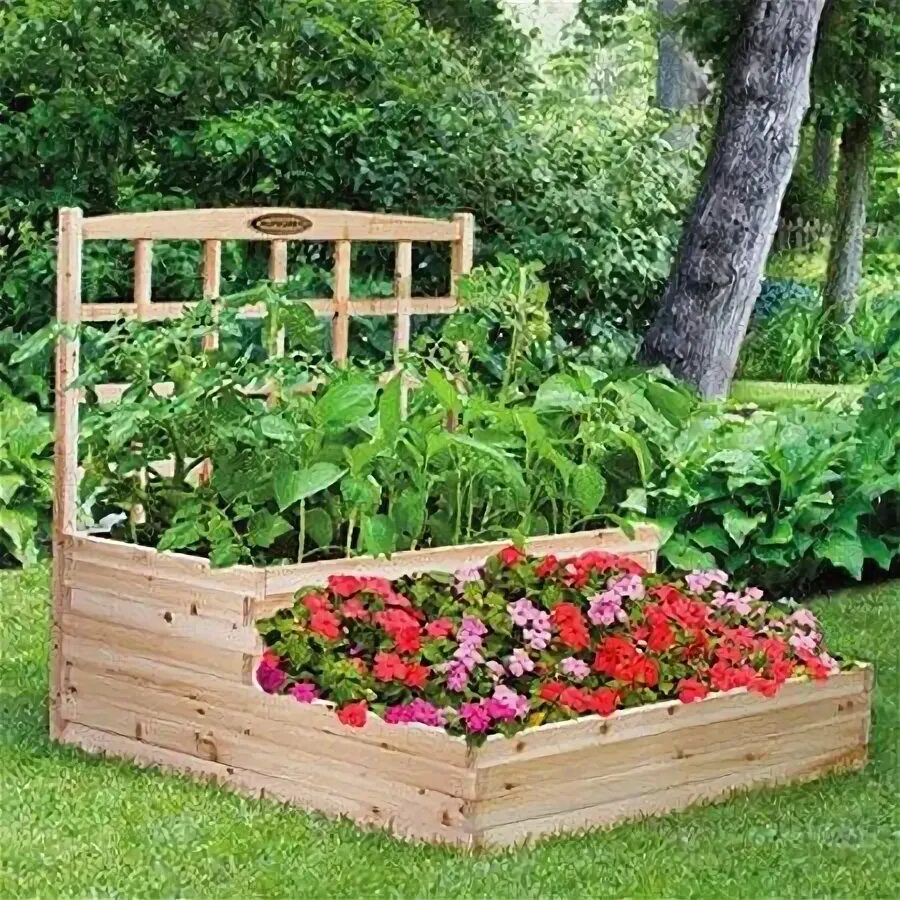 Клумбы для клубники фото Cedar Tiered Raised Garden Bed with Trellis Raised garden, Garden beds, Outdoor 