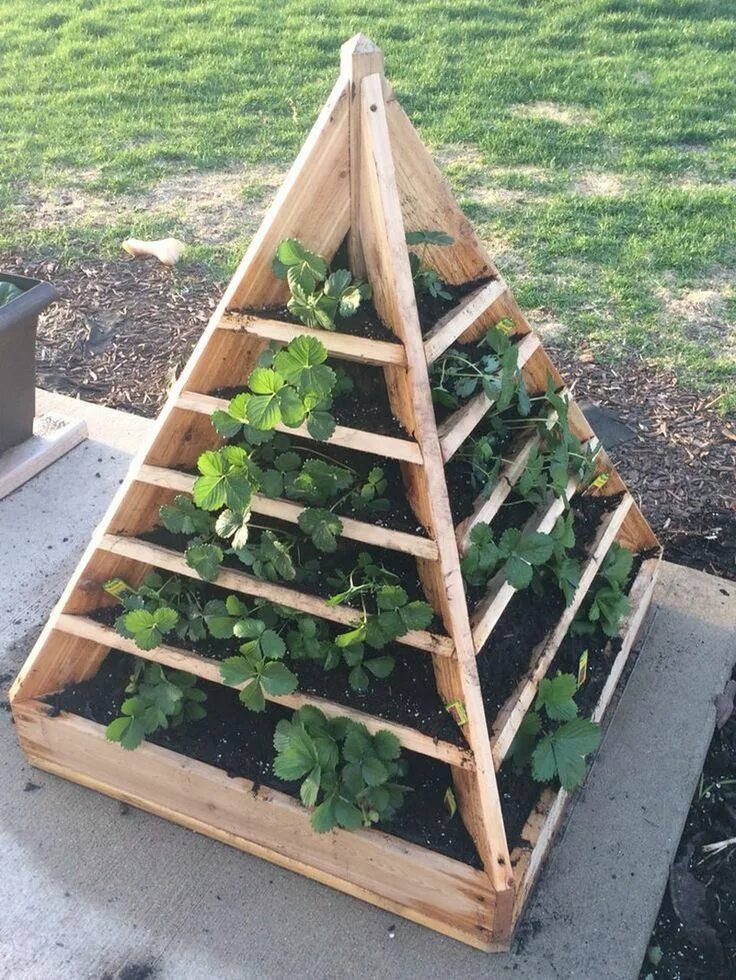 Клумбы для клубники фото Build A Great Strawberry Pyramid Planter in 4 Steps! Pyramid planter, Diy garden