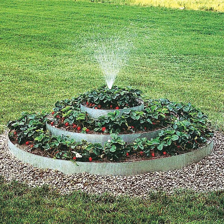 Клумбы для клубники фото Pyramidal Strawberry Bed Strawberry plants, Strawberry garden, Strawberry plante