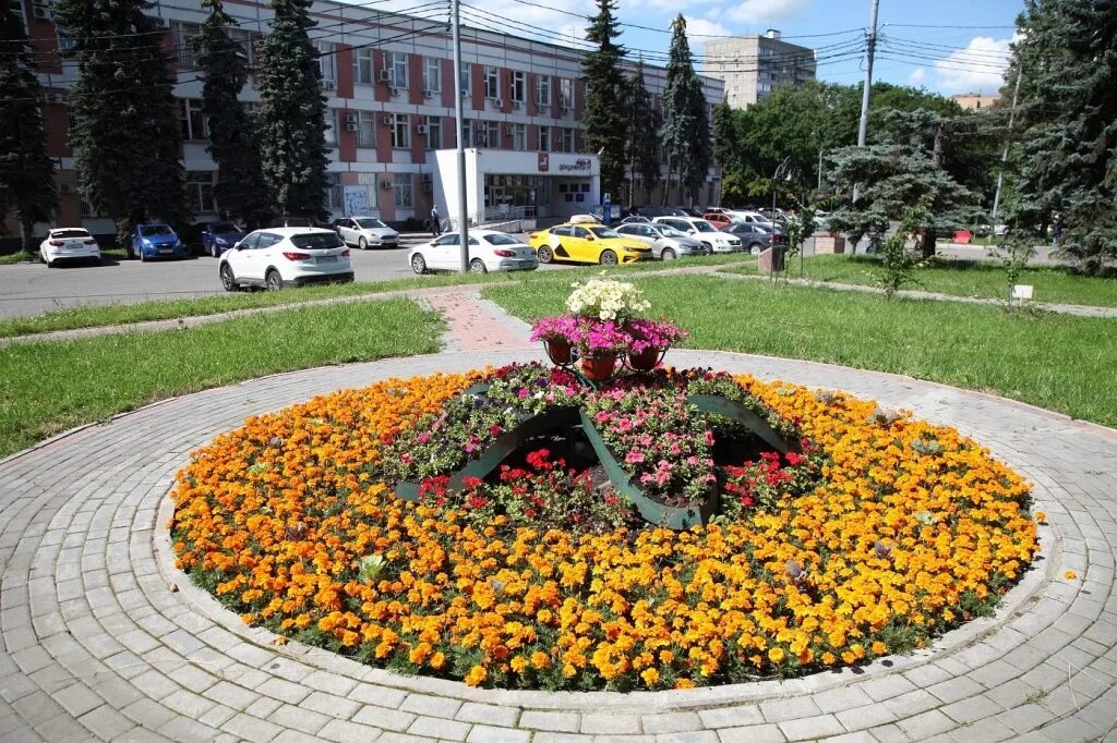 Клумбы города фото Районный этап окружного конкурса "Лучшее цветочное оформление (цветники) 2022 го