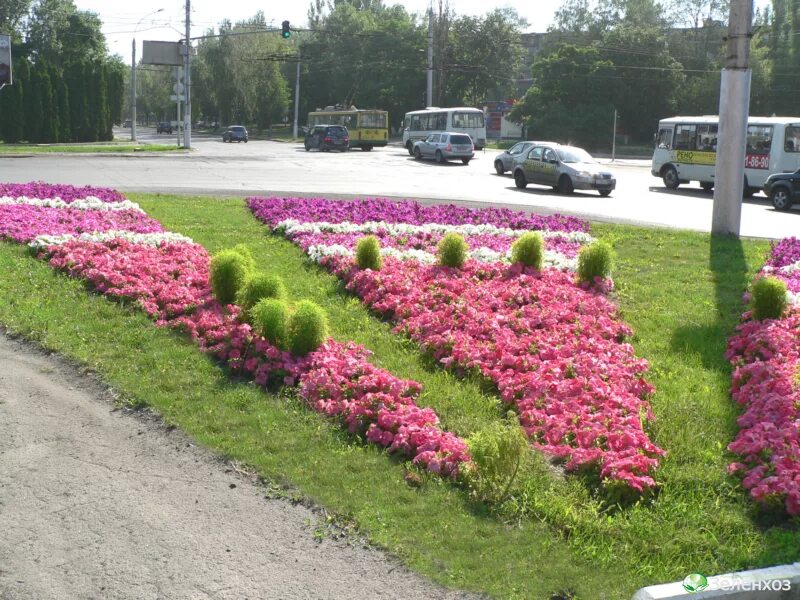 Клумбы города фото Городские цветники сезон 2012г МУП "Зеленхоз" г.Липецка