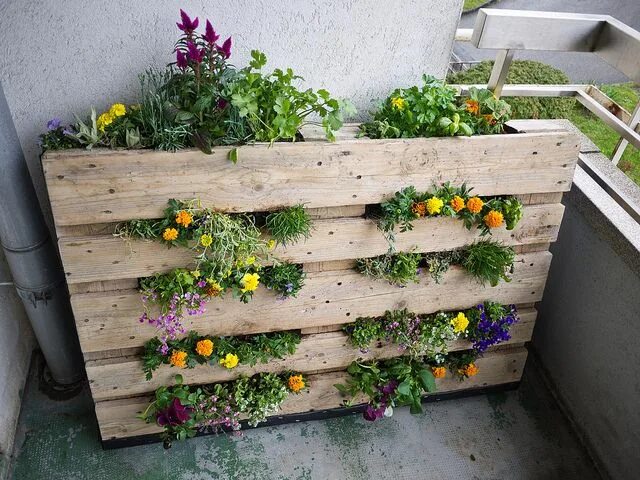 Клумбы из досок своими руками фото My pallet garden, completed Diy garten, Topf- und kübelpflanzen, Paletten garten