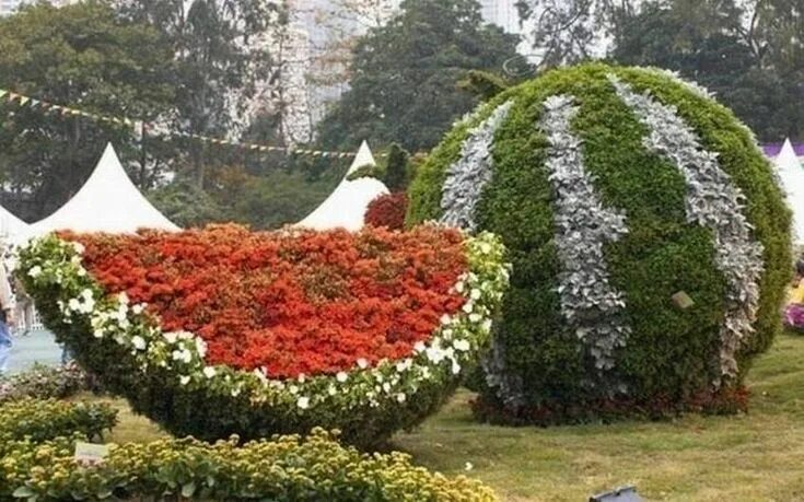 Клумбы мира фото Клумбы необычной формы. 10 удивительных творений Topiary garden, Beautiful garde