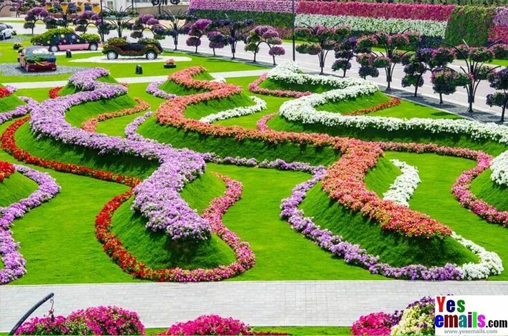 Клумбы мира фото The most beautiful and biggest natural flower garden in the world, Dubai Miracle