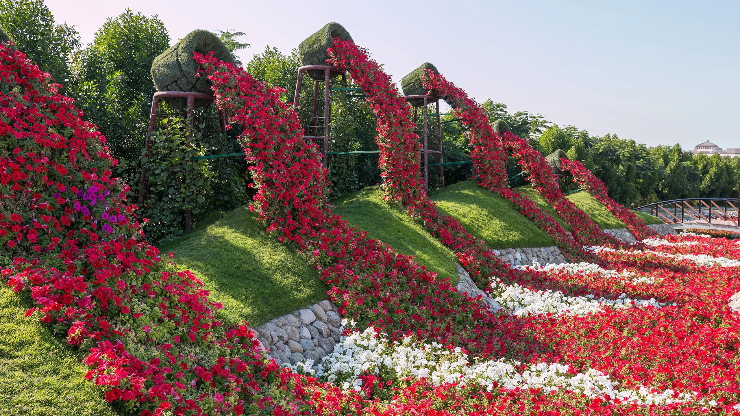 Клумбы мира фото Картинка Дубай ОАЭ Miracle Garden Природа Сады петуния 2560x1440