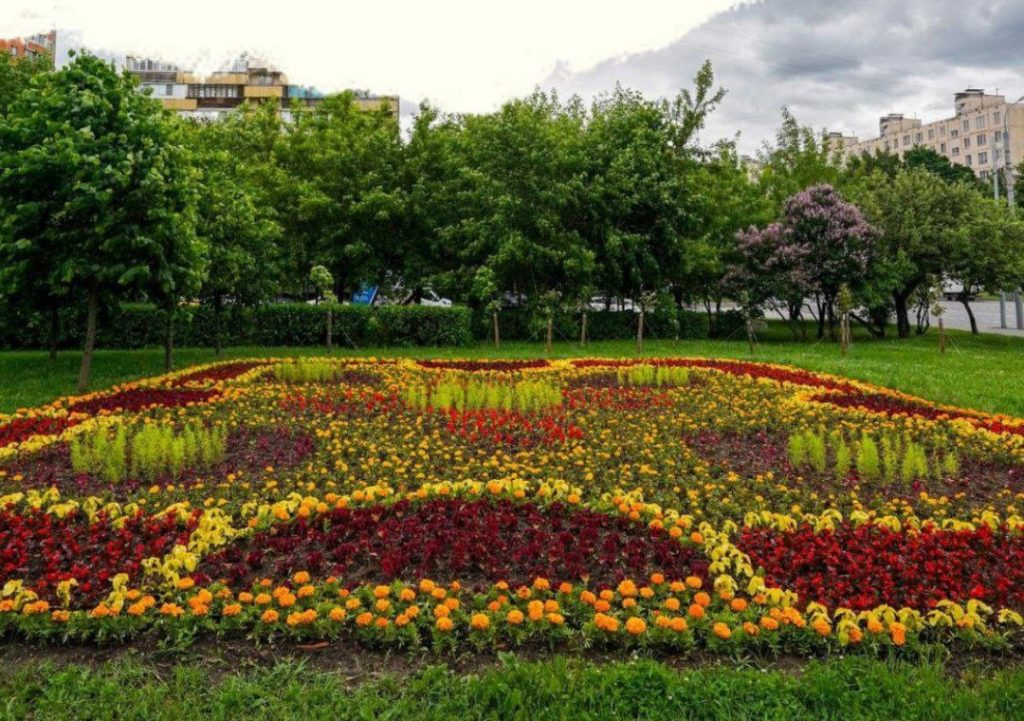 Клумбы москвы фото Префектура СВАО города Москвы - В Южном Медведкове высадили свыше 26 тысяч много