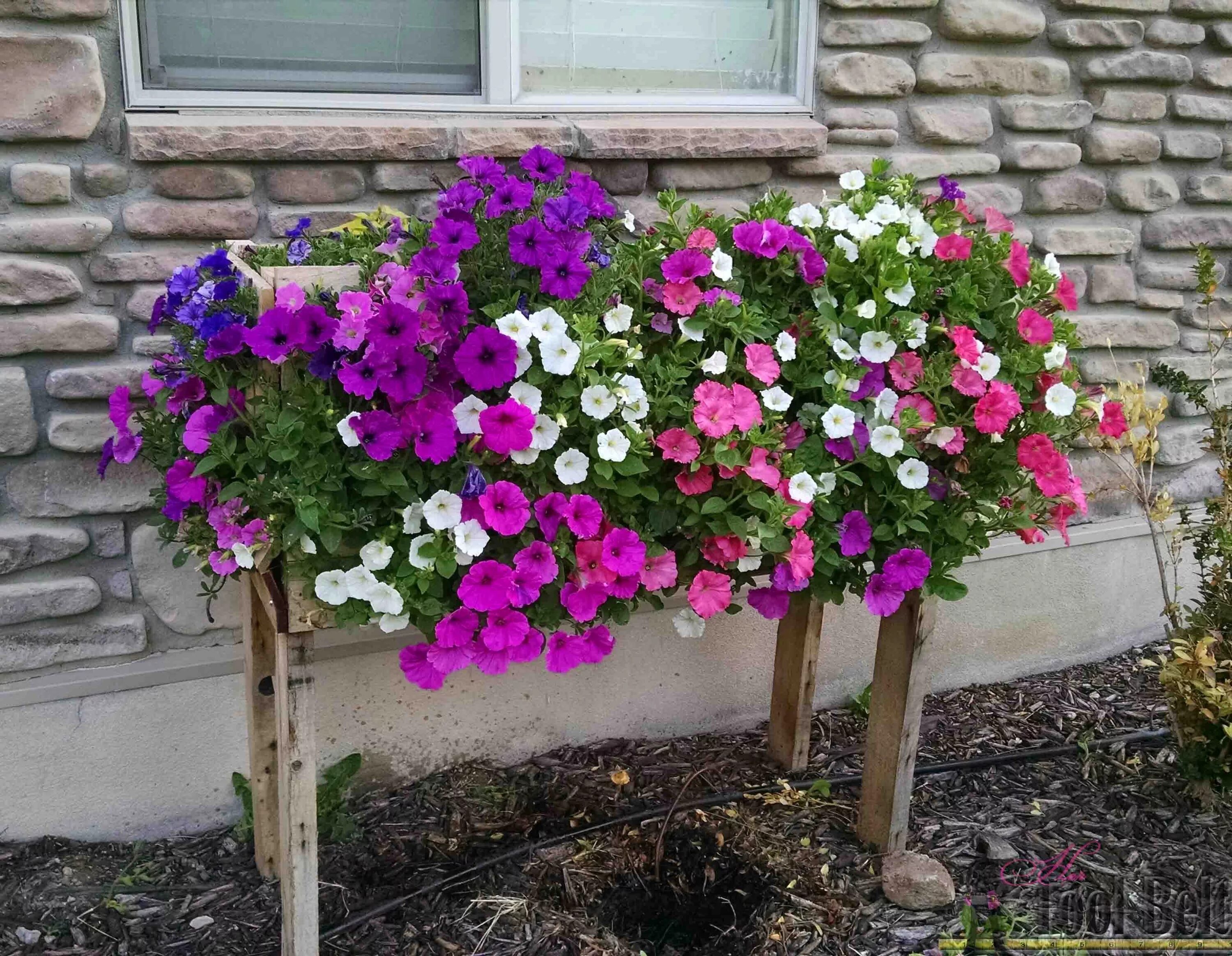 Клумбы петуний фото Pallet Planter Box For Cascading Flowers - Her Tool Belt Garden boxes diy, Palle