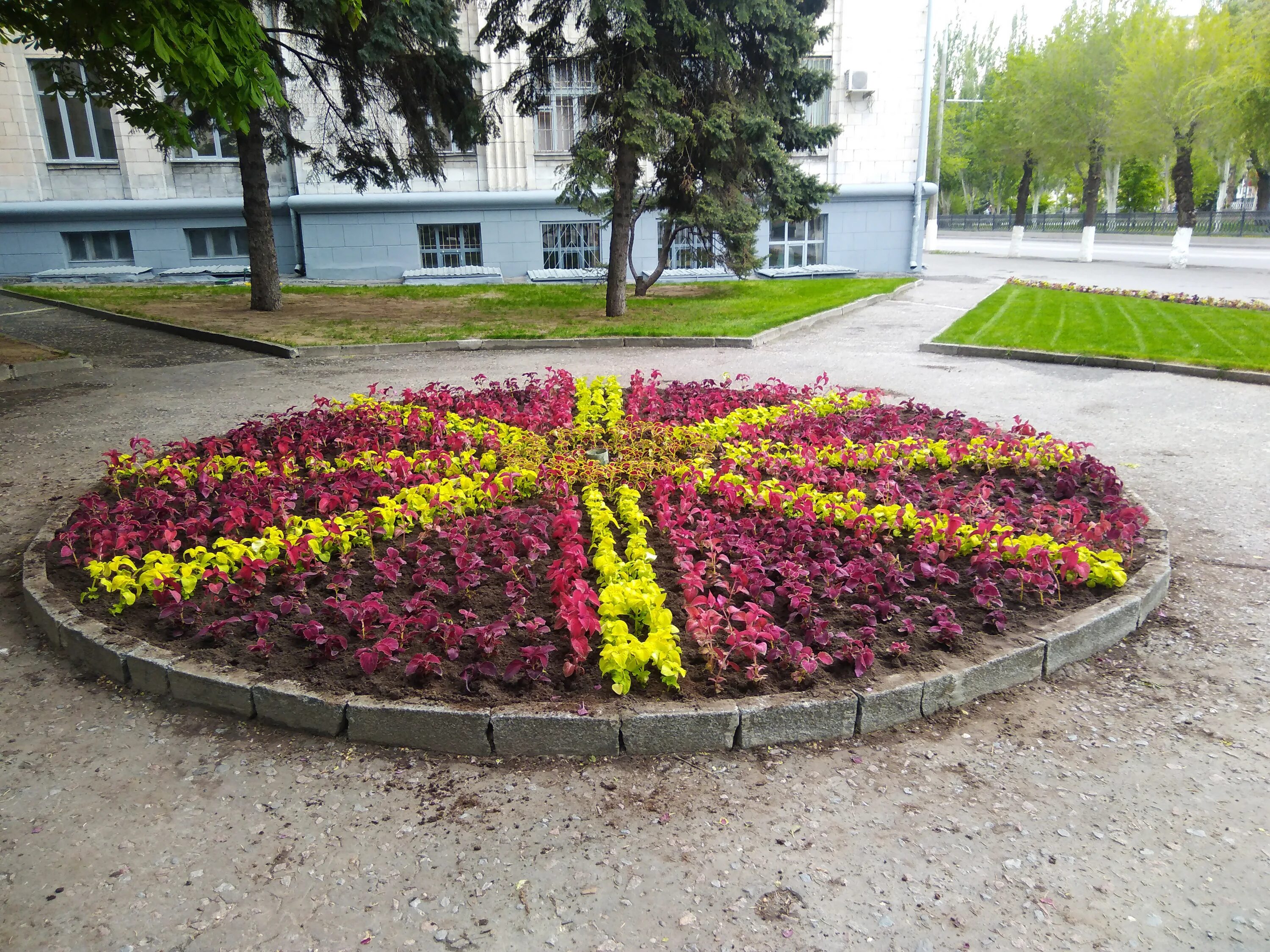 Клумбы разные фото Городские клумбы цветы