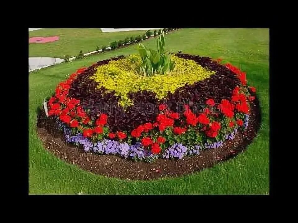 Клумбы разные фото Крутые идеи создания цветников и клумб своими руками. - YouTube Flower beds, Ann