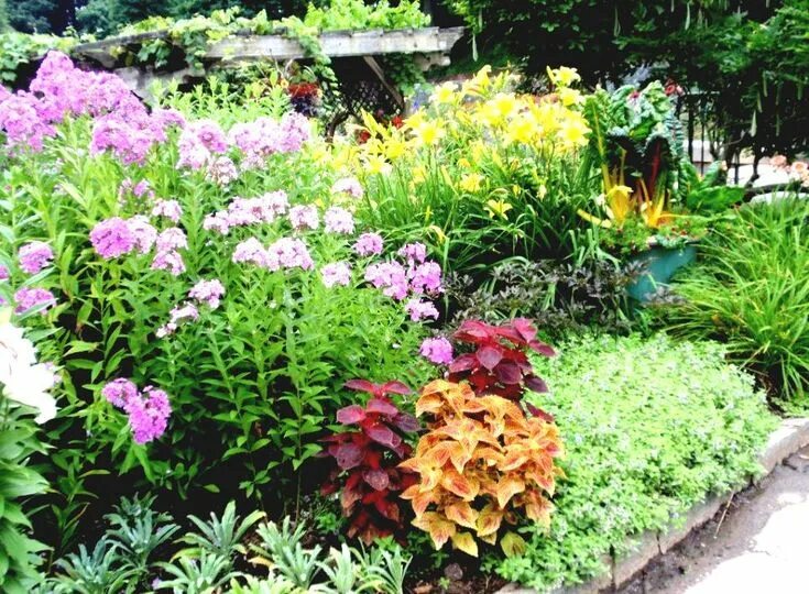 Клумбы с флоксами фото дизайн Image result for flower gardens for beginners Small flower gardens, Flower garde