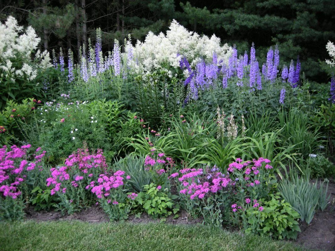 Клумбы с лиатрисом фото 10 критериев подбора растений для декоративных композиций Flower garden plans, P