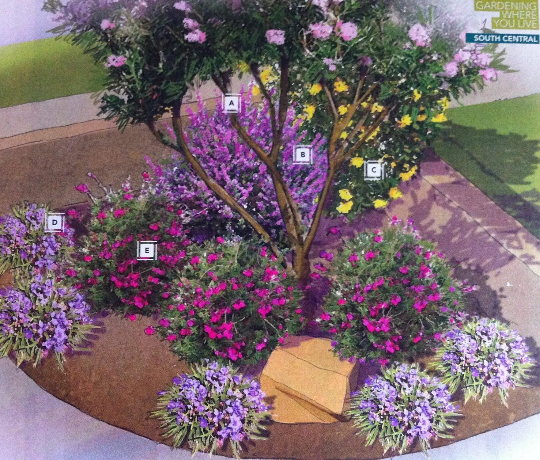 Клумбы с сиренью фото Cozy corner garden plan by Lowes: (A) Desert Willow (B) Texas Sage (C) Esperanza
