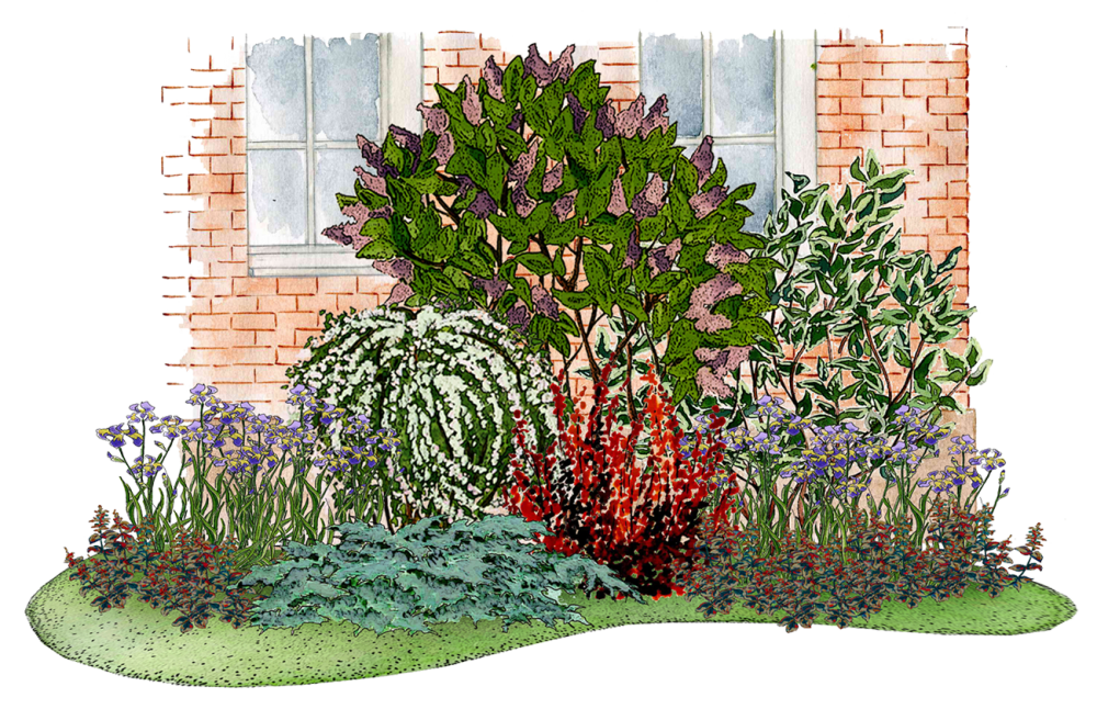 Клумбы с сиренью фото Российский Сервис Онлайн-Дневников Outdoor space design, Garden, Flower beds