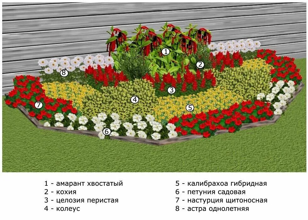 Клумбы схемы посадки цветов фото Две клумбы из однолетников, цветущие до октября Усадьба в долине Дзен