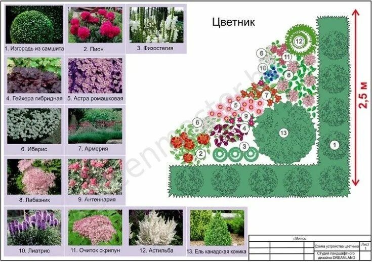 Клумбы схемы посадки цветов фото Цветники на даче своими руками: схемы и идеи оформления - 2019 Дизайн Интерьера 