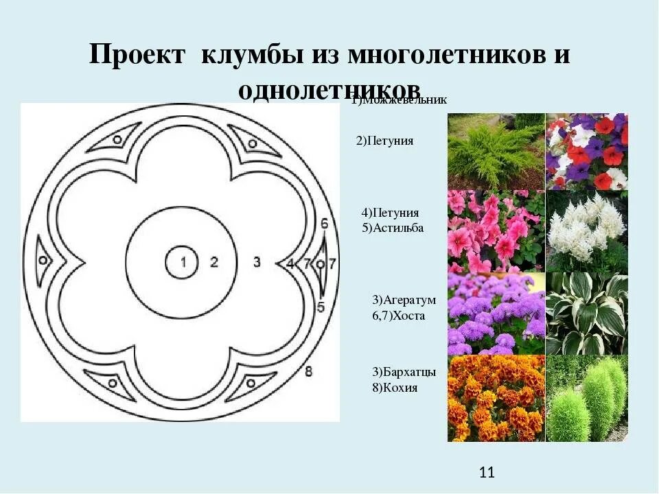 Клумбы схемы посадки цветов фото Схемы клумб для начинающих фото - DelaDom.ru