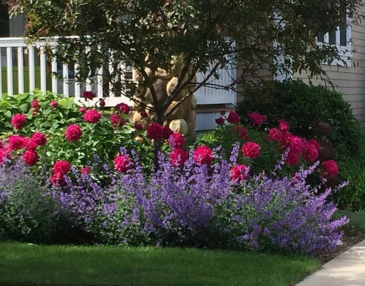 Клумбы сочетание цветов фото rose garden color combination - Yahoo Image Search Results Front flower beds, La