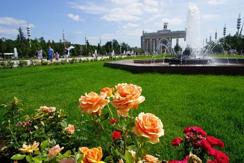 Клумбы вднх фото СКАЗОЧНЫЕ ВОЛНЫ И "ПОЛЯ КАНДИНСКОГО": НА ВДНХ ВЫСАДЯТ БОЛЕЕ 800 ТЫСЯЧ ЦВЕТОВ - М