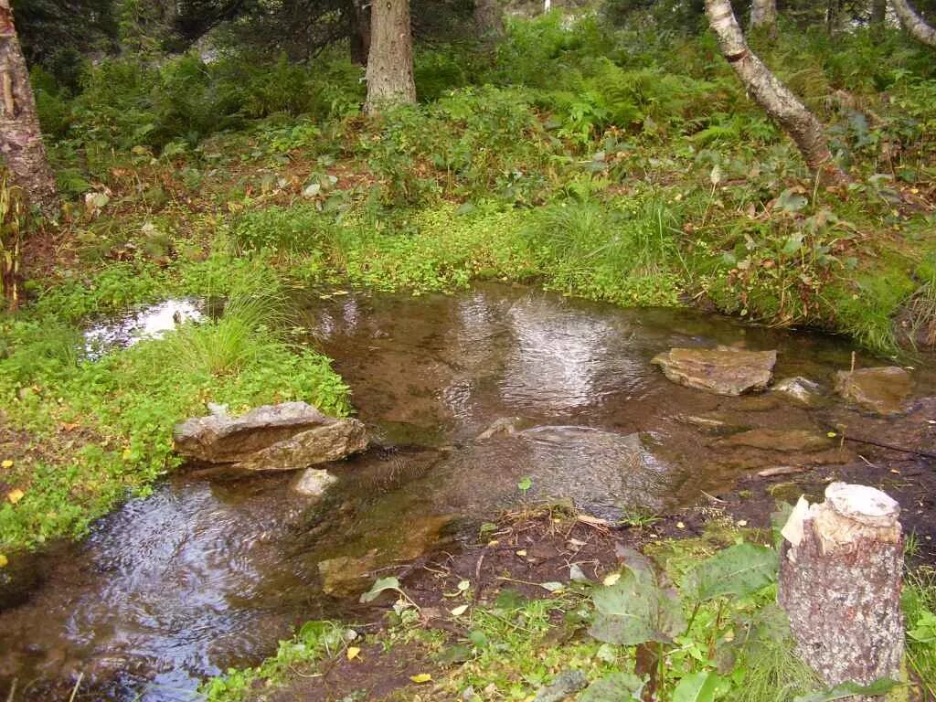 Ключ из под земли фото Там, где росы падают в траву... (София Киларь) / Проза.ру