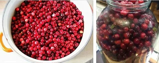 Клюква в банке фото Сколько клюквы в 3 литровой банке?