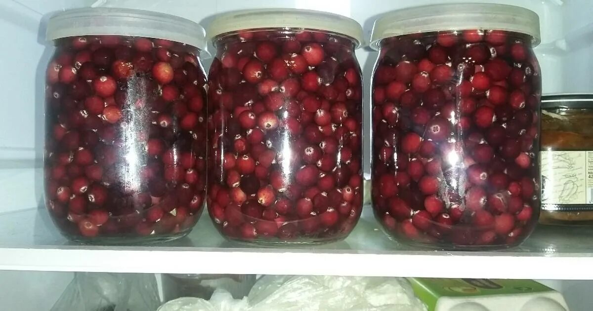 Клюква в банке фото Как хранить клюкву на зиму в домашних условиях без холодильника - CoffeePapa.ru