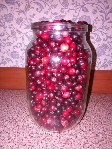 Клюква в банке фото I collect cranberries to order 250 rubles per liter 2022 Детские товары. Барахол
