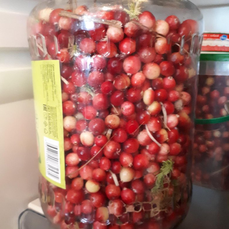 Клюква в банке фото Клюква 3 литра - купить в Красногорске, цена 3 000 руб., продано 9 октября 2018 